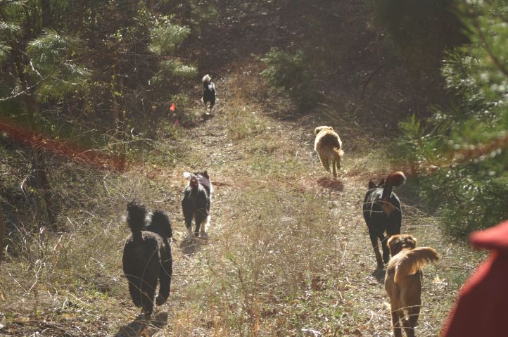 pack.jpg